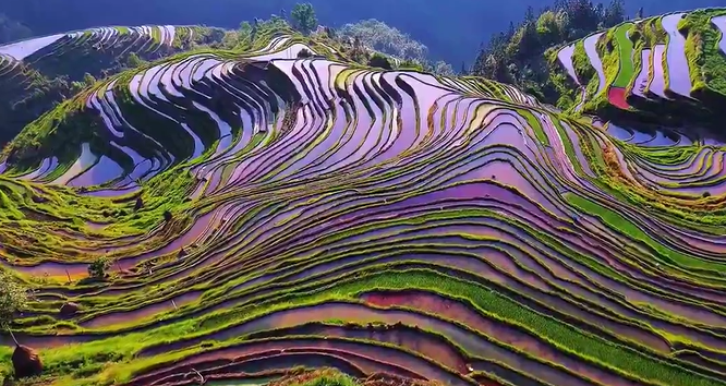 从江东朗梯田